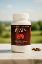 Pioir Ganoderma Panamá